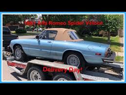 Image result for Rosso 1981 Alfa-Romeo