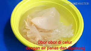 Maybe you would like to learn more about one of these? Umai Obor Obor Jelly Fish Masakan Kak Midah Sarawak Youtube