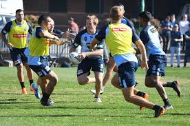 Reeves (2005) and human resources: Trbojevic Boys Relishing Camp With Idol Johns Nswrl