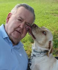 Colorful Blocks Photo Yearbook Cover