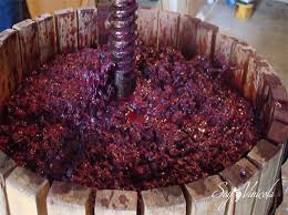 Resultado de imagen para imagenes de vino patero en elaboraciÃ³n