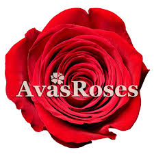 Avas flowers coupon code february 2020. Avas Flowers Roses Home Facebook