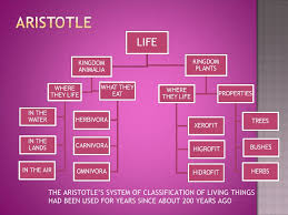 Classification Of Living Things