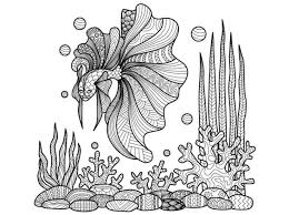 Schone malvorlagen fur kinder beliebte bilder zum ausmalen. Ausmalbilder Fische Und Korallen 28 Images Fische Im Meer Mit Korallen Ausmalbilder Fische Unterwasserwelt Korallenriff Und Fisch Stockvektor Fische Im Meer Mit Korallen Ausmalbilder Ausmalbilder Unterwasserwelt Korallen Malvorlagen Malvorlagen