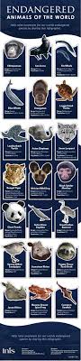 The 21 Most Endangered Animals In The World Most Endangered Animals Animals Of The World Endangered Animals