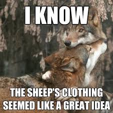 I Know The Sheep S Clothing Seemed Like A Great Idea Comfort Wolf Quickmeme