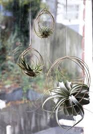 Small Tillandsia Ornaments Air Plant Ornaments Air Plant Hangers Hanging Plants Bromeliads House Warming Gift Brass Decor Hangende Pflanzen Pflanzen Pflanzen Dekor
