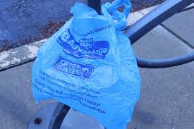 Average salaries for giant eagle in 2020. Giant Eagle Plans To Get Rid Of All Single Use Plastics In Stores By 2025 The Allegheny Front