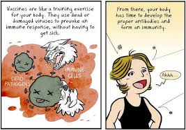 Health belief model (hbm) 29 and theory of reasoned action (tra) 30. Vaccines Comic By Maki Naro