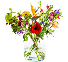 Op zoek naar de beste bloemen? Home