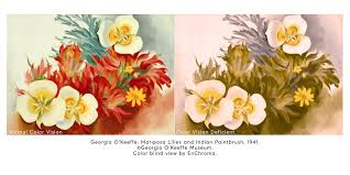 We did not find results for: Enchroma Glasses Enhance O Keeffe Museum Experience For Color Blind Visitors Business Wire