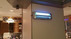Our charleston pest control experts offer some great ways to prevent pest infestations. Five Best Ways To Prevent Pest Infestation In A Restaurant