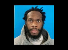 Police searching for man who shot at deputy