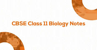 Ncert text books are utilized at some purpose of time by each understudy in his 12 years of tutoring. Download Class 11 Biology Notes Pdf Vidyakul