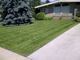 Bagging services are also available at an additional cost. 8 Best Lawn Services In Edmonton 2021
