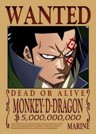 Bad article reader on april 21, 2019: Monkey D Dragon Poster By One Piece Displate