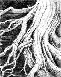 Black And White Pencil Drawings Of Trees Original Black And White Pencil Drawing Of Tree Roots Etsy Tree Drawing Roots Drawing Tree Drawings Pencil