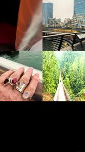 Image result for Citrine 1986 Surrey City Council