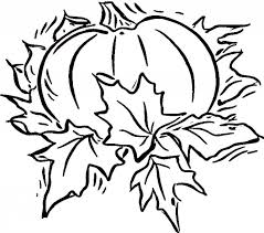 Pumpkin coloring sheet blank free printable pumpkin coloring pages for. Free Printable Pumpkin Coloring Pages For Kids