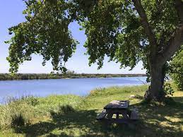 48 #1 of 6 things to do in rio vista. Parks Brannan Island State Recreation Area Visit The California Delta