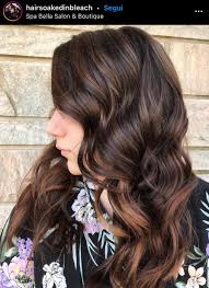 I capelli color cannella sono sempre attuali e belli da vedere. Castano Cioccolato Inverno 2021 La Tinta E Deliziosa Amica