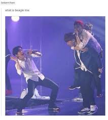 What Is The Beagle Line Baekhyun Beagle Exo Funny