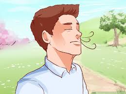 How To Keep Your Stomach Quiet In Public 11 Steps With Pictures