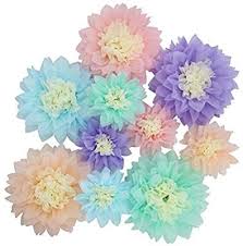 Tissue paper flowers are perfect for a wedding arch, photo wall or wedding fiesta decorations. Amazon Com Mybbshower Pastel Tissue Paper Flower Baby Shower Centerpiece Living Room Wall Decor Pack Paper Flowers Paper Flower Wall Decor Giant Paper Flowers