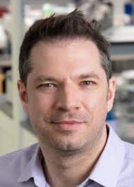 Dean's Distinguished Research Series 2023