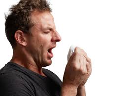 Image result for Why do we close our eyes when we sneeze?