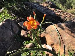 This is a magnificent hike, only hike this hike if you are fit and you are okay with heights and exposure to heights. Take A Hike Rhodes Memorial To King S Blockhouse