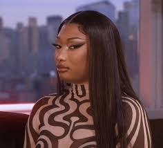 A fan almost got kicked out of Megan Thee Stallion's meet and greet for  getting to handsy. 😀