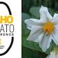 Idaho Potato Conference 2025