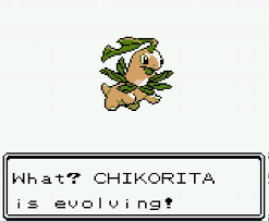 Pokemon Gold Chikorita Evolving Into Bayleef