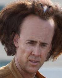 My hair is a bird”