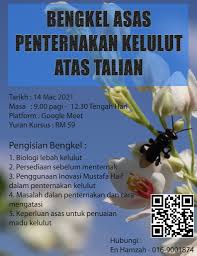 Campurkan satu sudu besar madu kelulut ke dalam segelas air sejuk (iaitu air yang disimpan di dalam suatu bekas pada suhu bilik/persekitaran) pada kadar lebih kurang 100ml. Meliponiculture Minden Honey Posts Facebook
