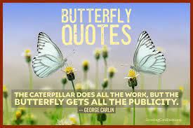 157 Butterfly Quotes Sayings And Instagram Captions To Enchant You