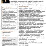 Cv Commercial Grands Comptes Modele Cv Sur Mesure Upcvup Cv Commerciale Modele Cv Commercial