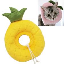 Check out our personalized cat collar selection for the very best in unique or custom, handmade pieces from our pet collars & jewelry shops. Sunsky 3 Pcs Adjustable Collar Pet Anti Licking Collar Sterilization Cat Anti Scratch Collar Style Pineapple