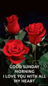 Image result for tbn:ANd9GcQzWo5lBIPWKebvy1oRkgh5c-dE8XiN3VXZR7m1YtZmdakAs_N-Mhco6w:http://www.cqham.ru/flower.gif