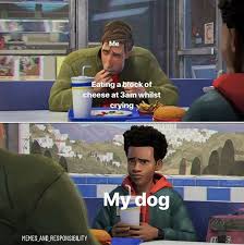 Into The Spider Verse Spiderman Miles Morales Peter Parker Spiderman Meme Fandom Geek Nerd Movies Comics Peter Parker Spiderman Spiderman Meme Marvel Funny