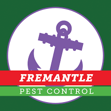 We provide services throughout perth and are contracted to local government organisations such as schools and police. Champion Pest Control Home Facebook