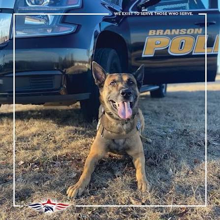 Oakland26California | A Yukon officer rescued a lost and scared German  Shepherd found wandering along Highway 4, where the situation posed a  serious risk to both... | Instagram