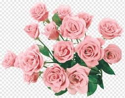 Well worth the money, won't be going anywhere else now, and just ordered my 3rd bouquet. Flower Rose Graphy A Large Bouquet Of Flowers Flower Arranging Floribunda Artificial Flower Png Pngwing