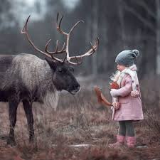 16 Begenme 3 Yorum Instagram Da Kadraj Gezginleri Kadrajgezginleri Our Photographer Who Shares This Beautiful Photo With U Cute Animals Animals Photo