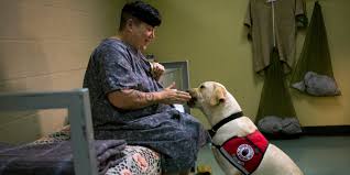 If you're a princess enthusiast, you might want to go with something like tiana or jasmine. and if you're looking for something a little. 20 Dog Names That Are About To Blow Up In 2016 Barkpost