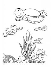 1200x1600 best of turtle coloring pages logo and design ideas. Free Printable Sea Turtle Coloring Pages For Kids