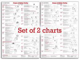 Expository Trigger Points Chart Free Download Reflexology