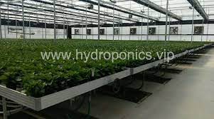 Tidal Movable Growing Bench Hydroponics Aquaponics Hydroponics System