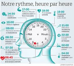 Ne Dereglez Pas Votre Horloge Biologique Hygiene De Vie Horloge Biologique Sante Et Beaute
